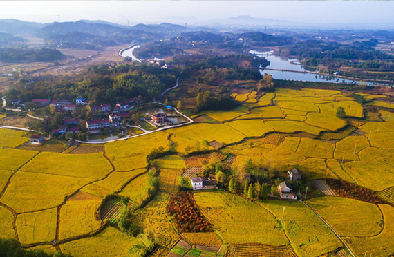 高水碘地区可以做哪些防治措施？