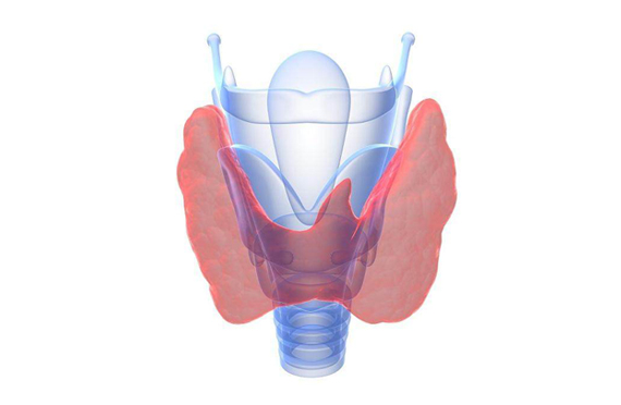 碘元素与甲状腺不得不说的那些事儿