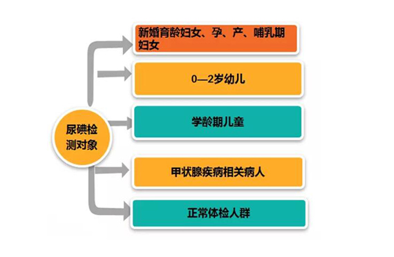 为什么要测碘？测碘的重要性有哪些？